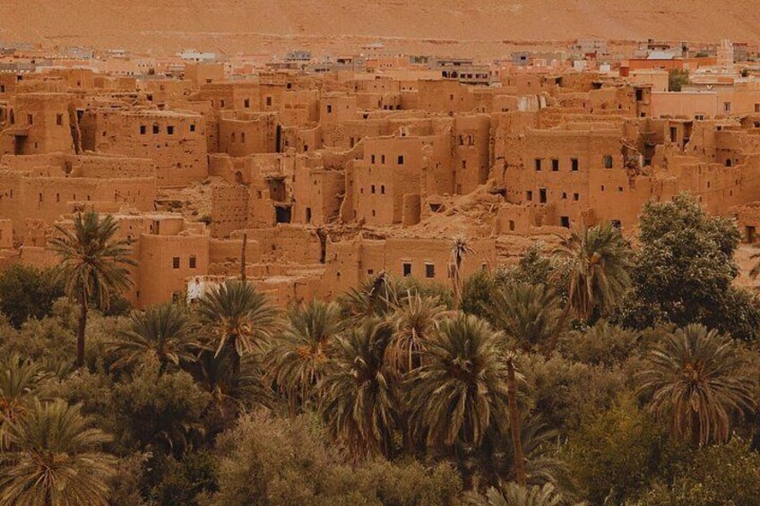 A desert landscape with traditional mud-brick buildings and palm trees. 5