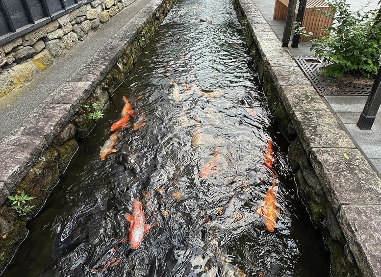 Picture 12 for Activity Hida Furukawa Old Town Walk: Canals & Hidden Corners 4