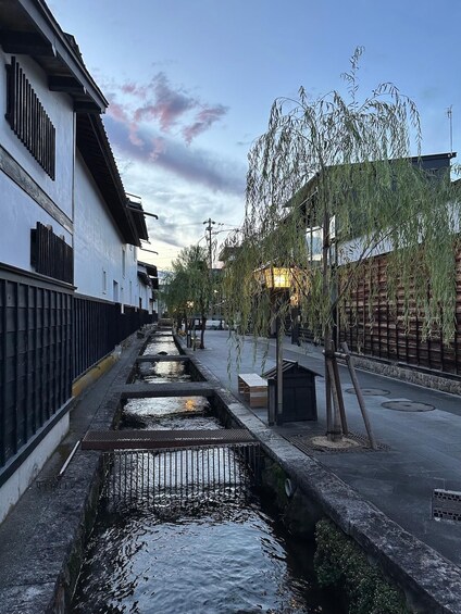 A serene street with traditional buildings, a narrow water channel, and willow trees. 1