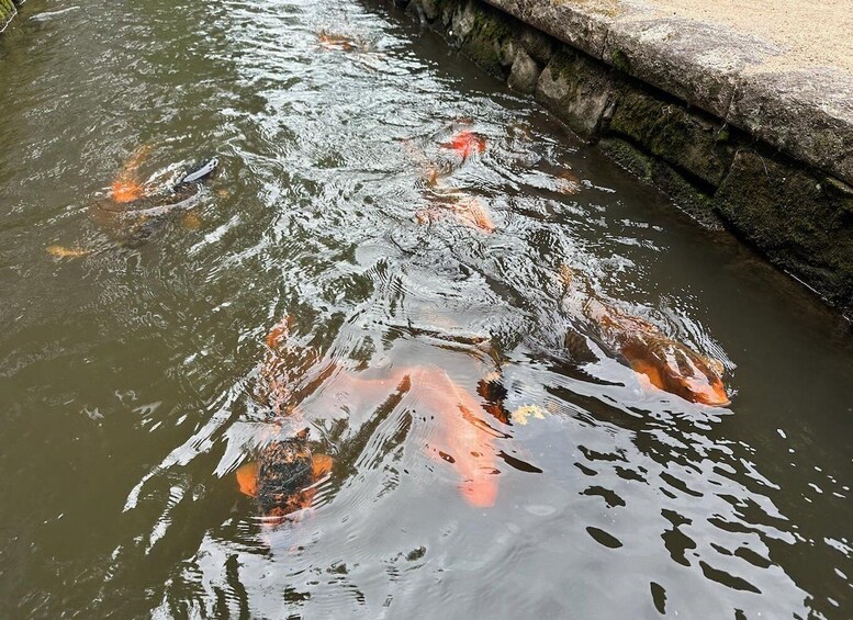 Picture 6 for Activity Hida Furukawa Old Town Walk: Canals & Hidden Corners 2