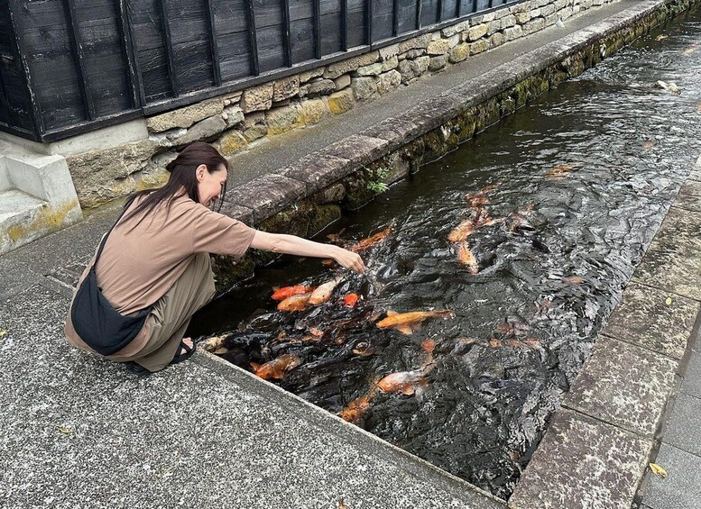 Picture 11 for Activity Hida Furukawa Old Town Walk: Canals & Hidden Corners 2
