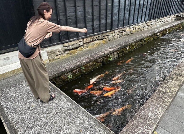 Picture 10 for Activity Hida Furukawa Old Town Walk: Canals & Hidden Corners 3