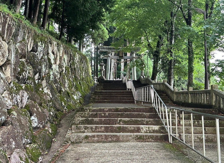 Picture 2 for Activity Hida Furukawa Old Town Walk with Canals & Corners 4