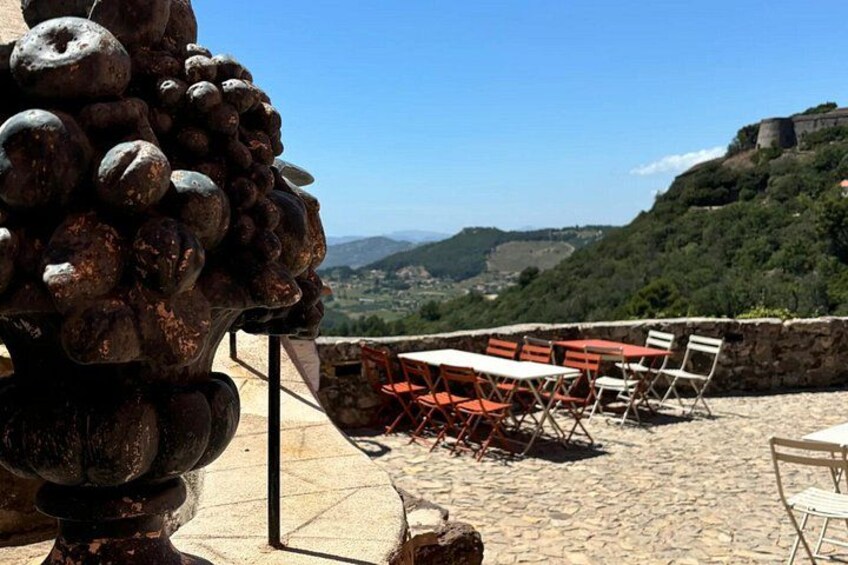 Venos, Bandol and Cassis, Tasting and Provencal Discovery 5