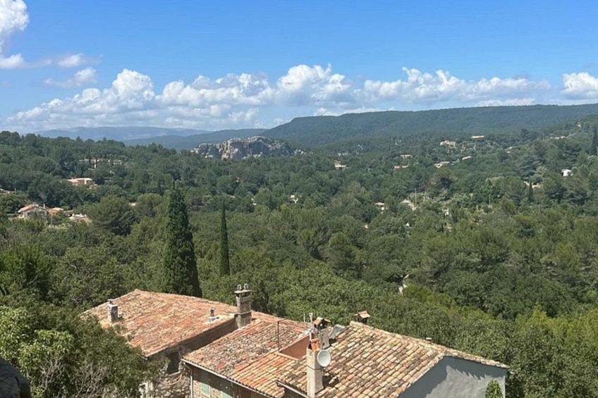 Venos, Bandol and Cassis, Tasting and Provencal Discovery 3