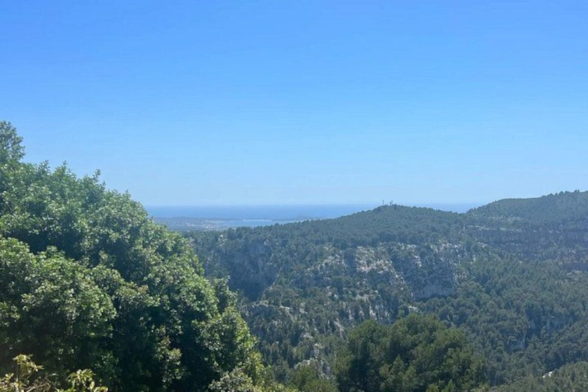 Venos, Bandol and Cassis, Tasting and Provencal Discovery 2
