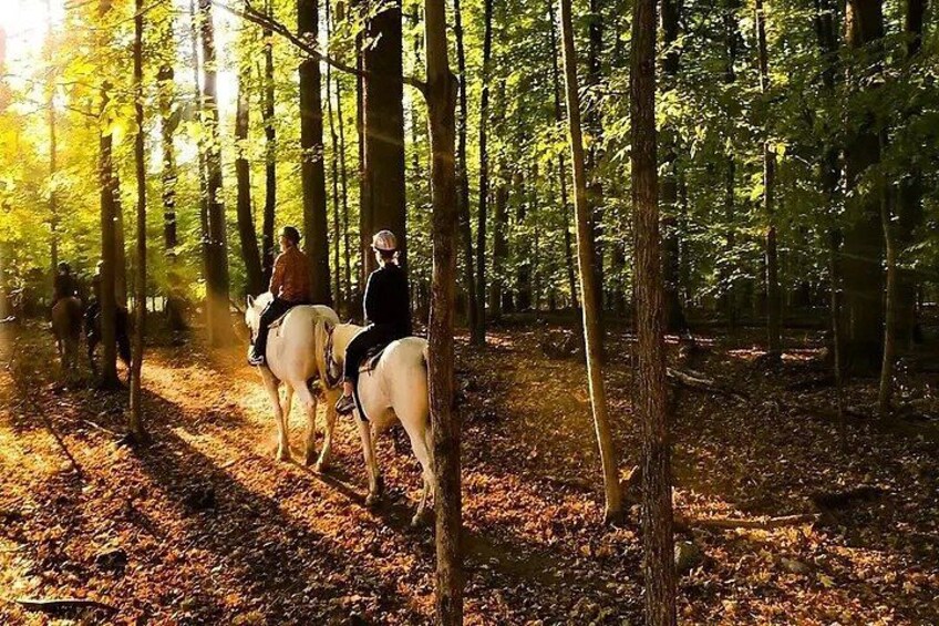 Date Night a 45 minutes Trail Ride 4