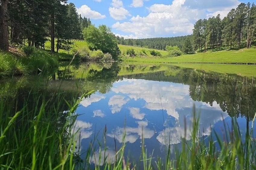 A calm lake surrounded by trees and grass. 2