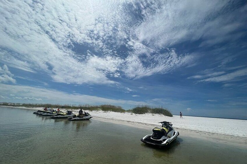2 Hour Jet Ski Dolphin Tour to Shell Island 2
