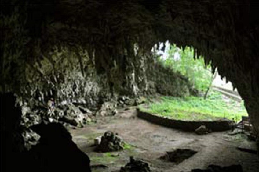 A cave entrance with a grassy area outside. 5