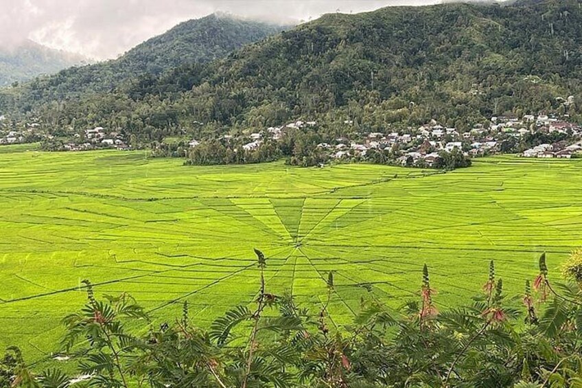 A lush green field with a bird perched on a pole, surrounded by a rural village and hills in the background. 1