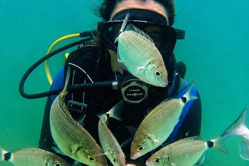 Dakhla Scuba Diving and Snorkeling Experience Portito Beach 5