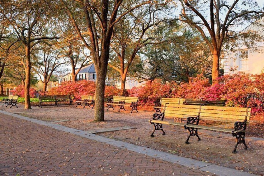 Self-Guided Savannah to Charleston Driving Audio Tour 2
