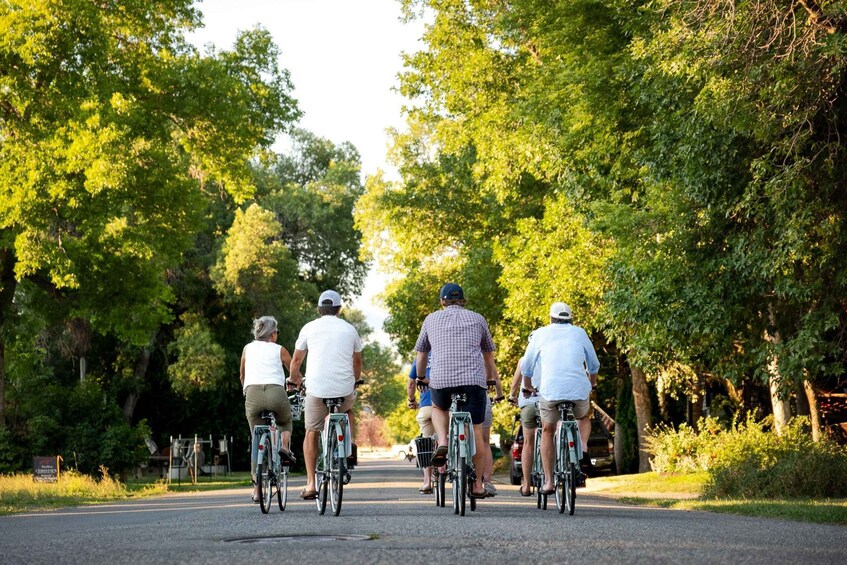 A group of cyclists on a paved path surrounded by trees. 5