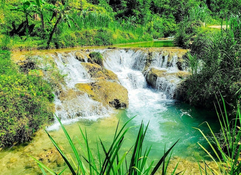 A waterfall cascading over rocks into a clear pool surrounded by lush greenery. 1