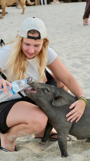 Picture 7 for Activity Koh Samui: Sunset Jetski Tour, Pig Island & Five Islands 3