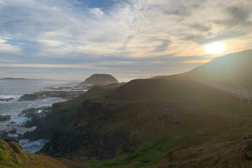 Melbourne Combo: Great Ocean Road Day Trip and Phillip Island Day Trip from Melbourne 2