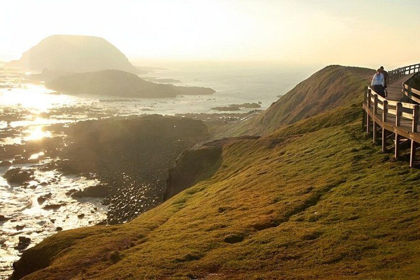 Melbourne Combo: Great Ocean Road Day Trip and Phillip Island Day Trip from Melbourne 2
