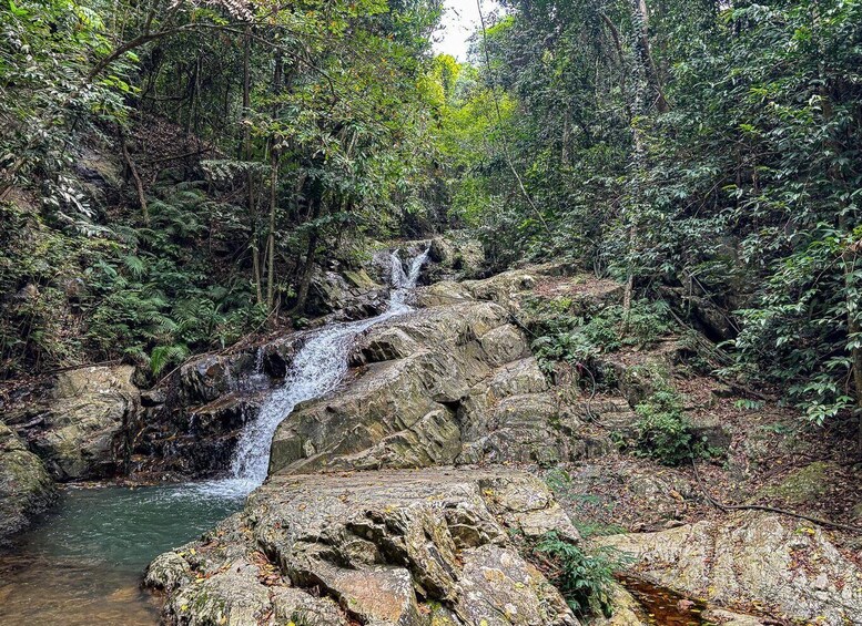 A waterfall cascading over rocks in a forested area. 3