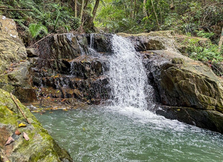 A waterfall cascading over rocks into a pool surrounded by dense forest. 4