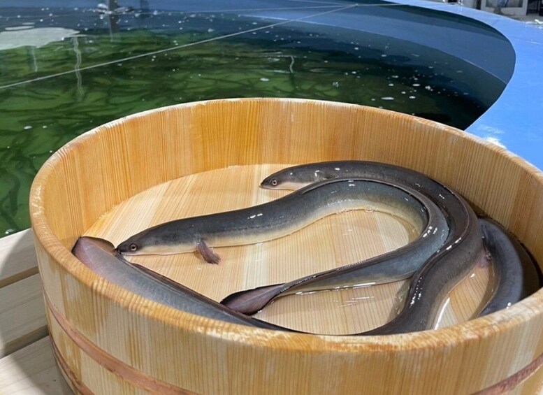 Picture 3 for Activity Saitama: Unagi Experience Tour with Meal 4