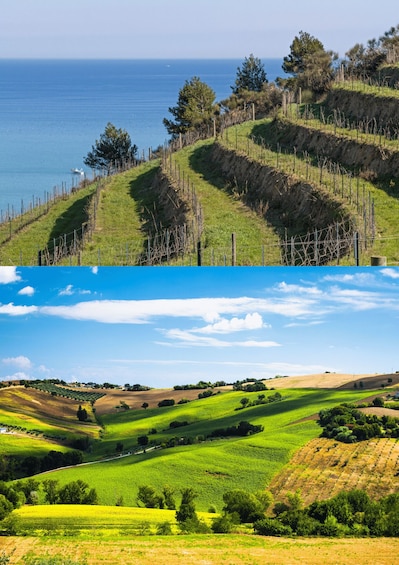 A coastal landscape with terraced fields and a clear view of the sea. 3