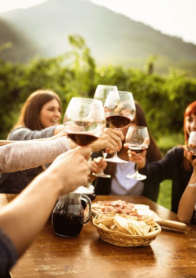 A group of people toasting with wine glasses at a wooden table with bread and a jug of wine. 4