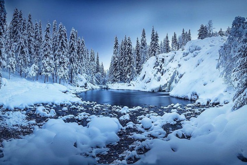 Schneebedeckte Landschaft mit einem ruhigen Fluss, dichten Bäumen und blauem Himmel. 2