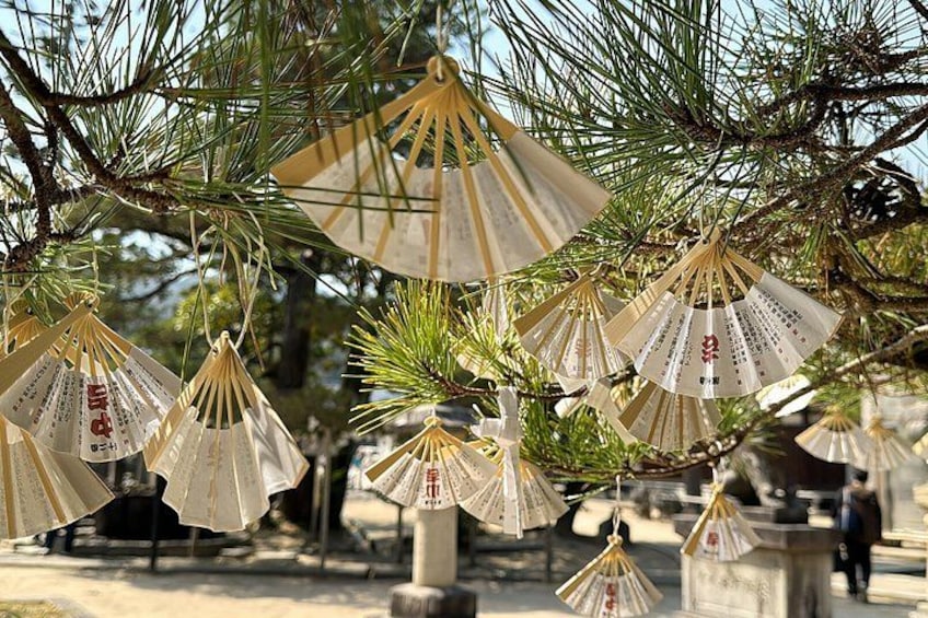Amanohashidate Ine Funaya and Miyama Thatched Village Day Tour 3