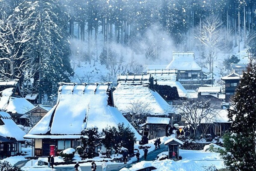 Amanohashidate Ine Funaya and Miyama Thatched Village Day Tour 2