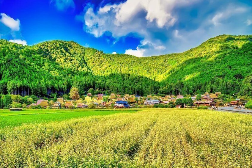 A rural landscape with a village nestled in a valley, surrounded by lush green hills and fields. 1