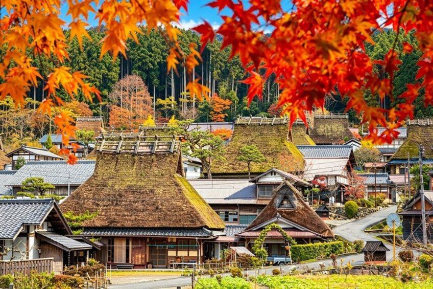 Amanohashidate Ine Funaya and Miyama Thatched Village Day Tour 1
