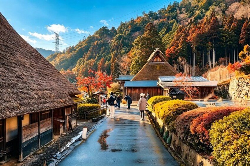 Amanohashidate Ine Funaya and Miyama Thatched Village Day Tour 4