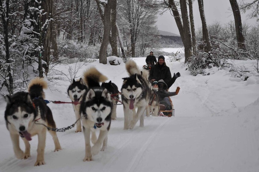 A group of huskies pulling a sled through a snowy forest. 3