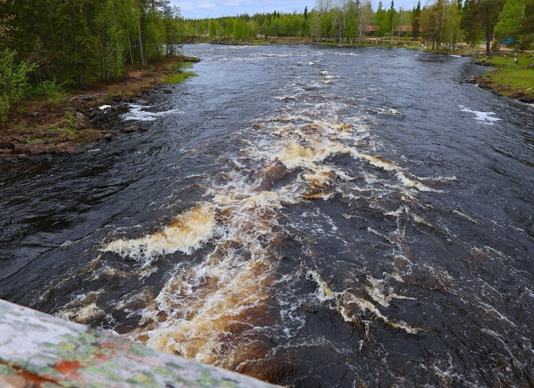 A turbulent river with rocky banks and dense forest in the background. 3
