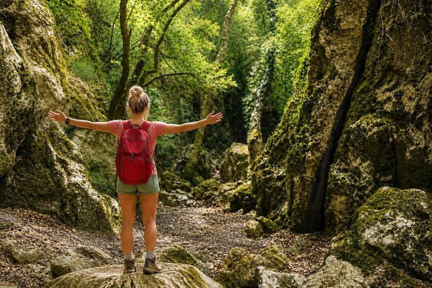 A person standing on a rock with arms outstretched in a forested area. 1