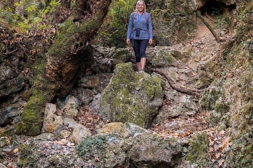 A person standing on a moss-covered rock formation in a forested area. 5