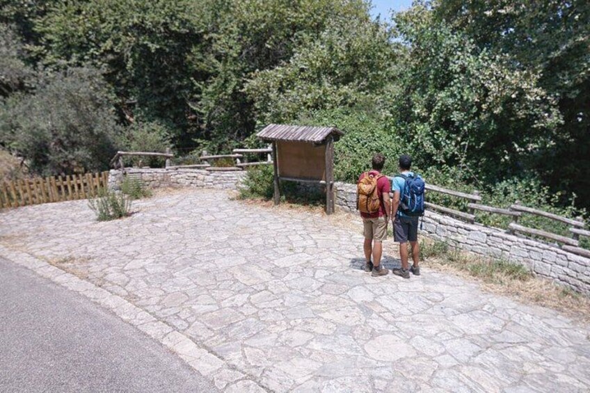 A stone pathway leading to a rustic shelter surrounded by trees. 2