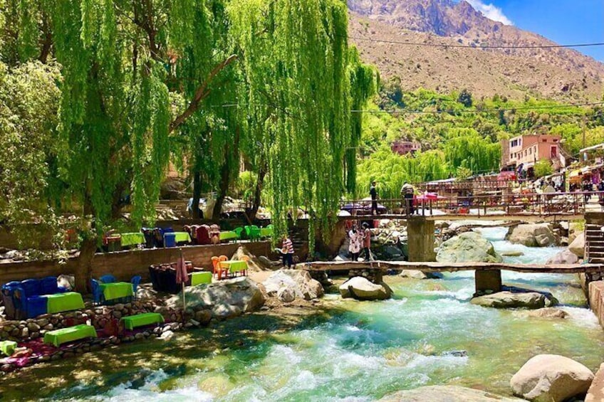 A river with rocks and a bridge, surrounded by trees and buildings. 3