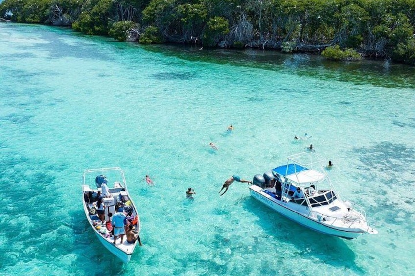 A boat with people swimming in clear turquoise water surrounded by lush greenery. 1