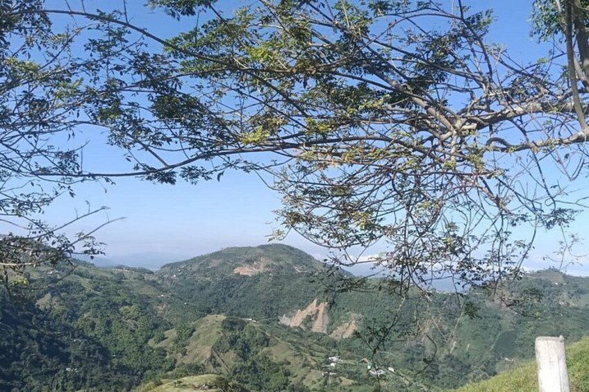 A mountainous landscape with dense greenery and a clear sky. 5