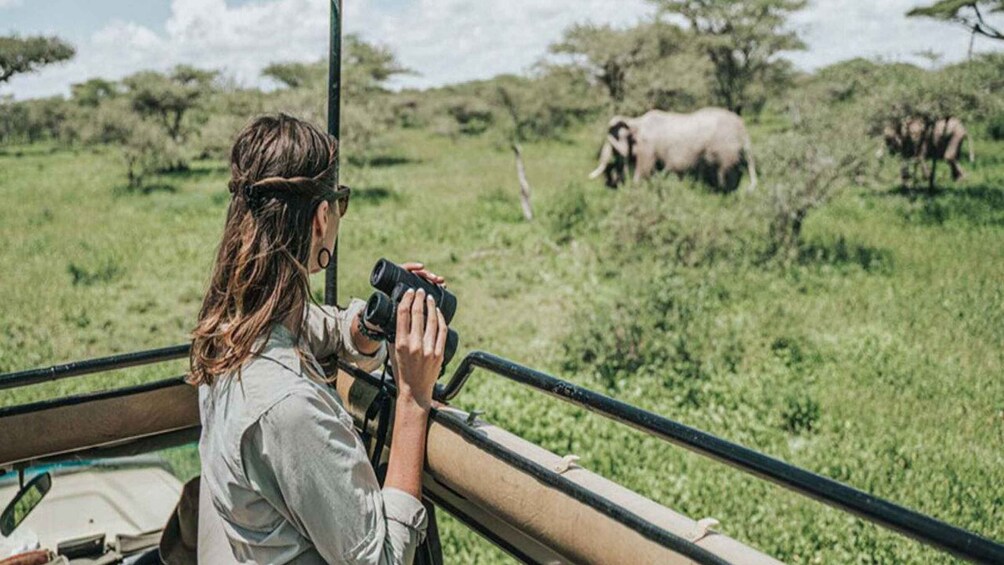 Picture 10 for Activity From Zanzibar:Mikumi Safari Day Trip with Flights and Lunch 2