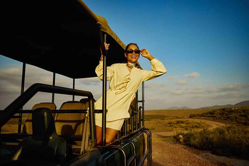 From Zanzibar:Mikumi Safari Day Trip with Flights and Lunch 1