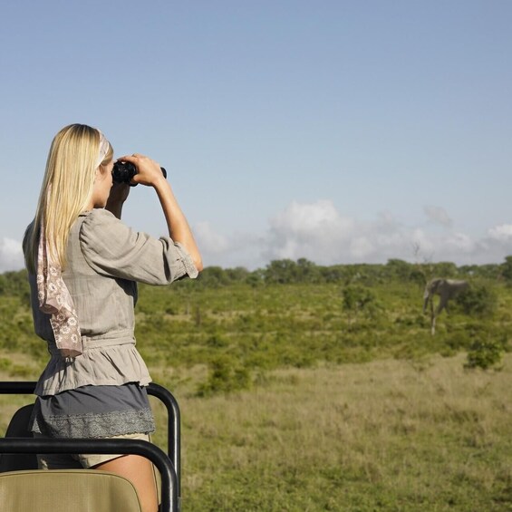 Picture 10 for Activity From Zanzibar:Mikumi Safari Day Trip with Flights and Lunch 5