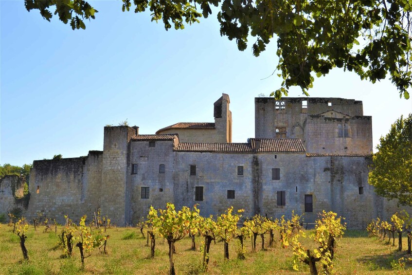 A historic stone building with a tower, surrounded by a vineyard. 3