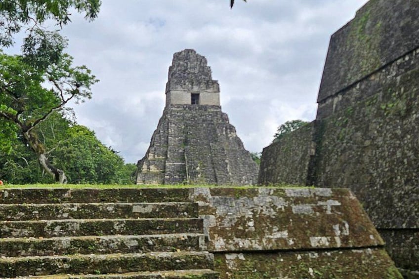 Una estructura piramidal de piedra con escalones que conducen hacia ella, rodeada de abundante vegetación. 3