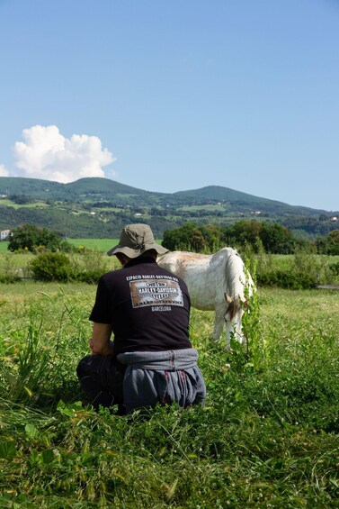 A person sitting on the ground with a white horse in a grassy field with hills in the background. 3
