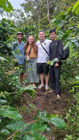 Four people standing among coffee plants in a forested area. 4