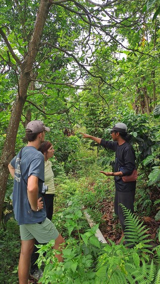 A group of people in a forested area, one person pointing at something in the distance. 3