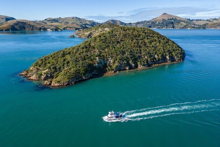 An island with lush greenery surrounded by turquoise water. 1